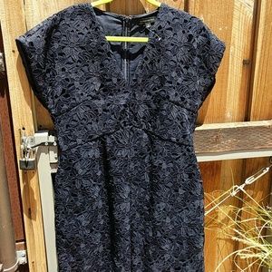 Banana republic navy blue lace dress